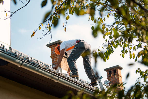 Best Roof Gutter Cleaning  in Columbia, CA