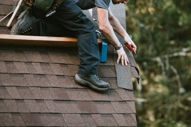 Roof Gutter Cleaning in Columbia, CA